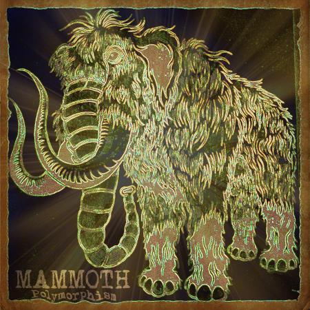 Mammoth - Polymorphism