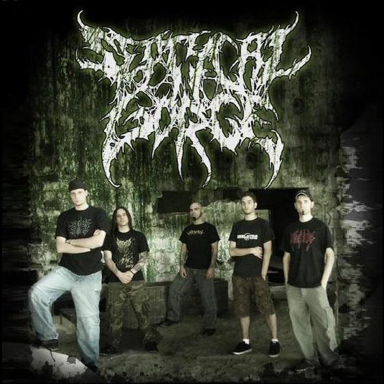 Septycal Gorge - Discography (2005 - 2014)