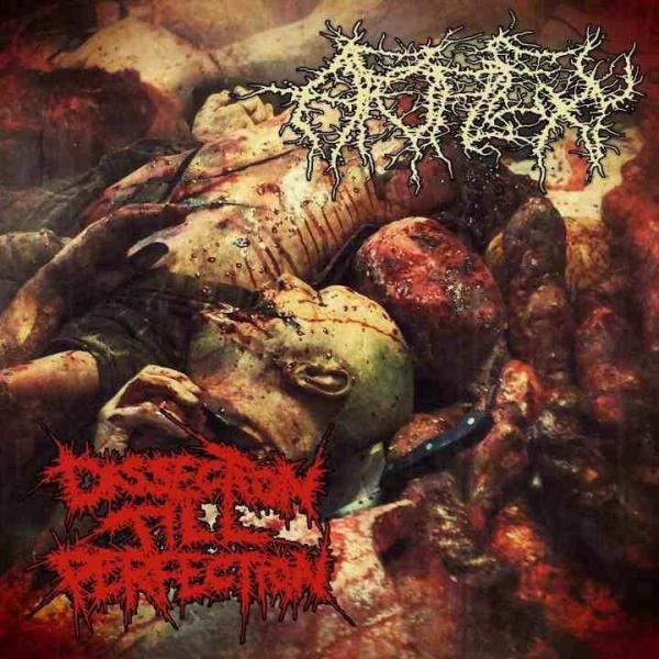 Apoplexy - Dissection Till Perfection