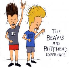 Various Artists - (feat. Anthrax, Megadeth, Aerosmith, White Zombie, Primus, Red Hot Chili Peppers) - The Beavis And Butt-Head Experience