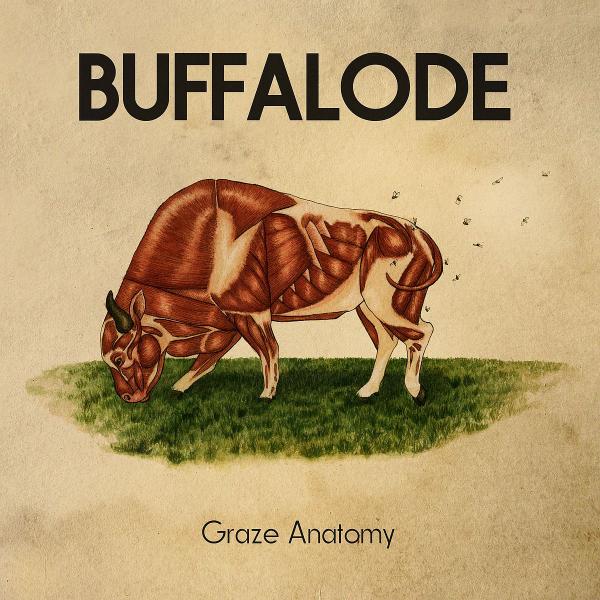 Buffalode - Graze Anatomy