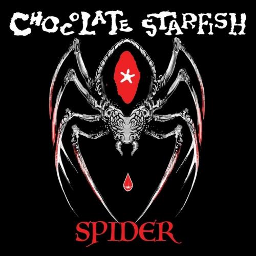 Chocolate Starfish - Spider