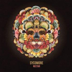Sycomore - Nectar