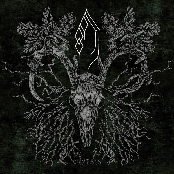 Forest of Grey - Crypsis