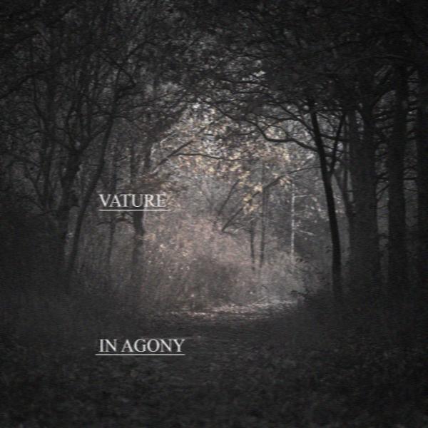 Vature - In Agony