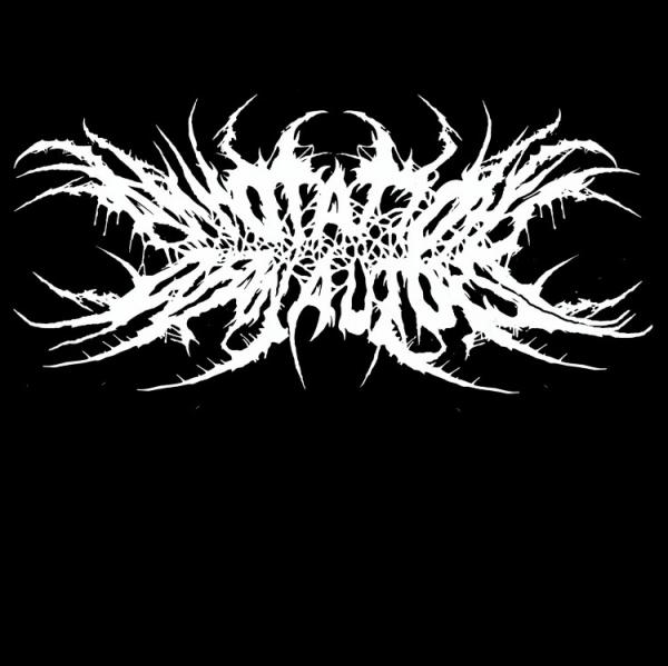 Annotations Of An Autopsy - Discography (2007 - 2019)