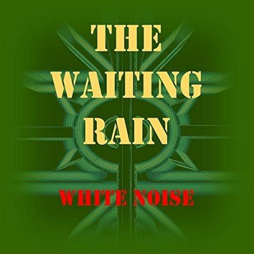 The Waiting Rain - White Noise