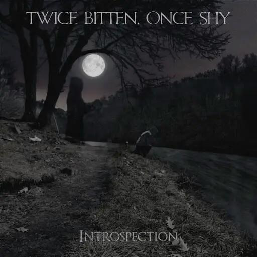 Twice Bitten, Once Shy - Introspection