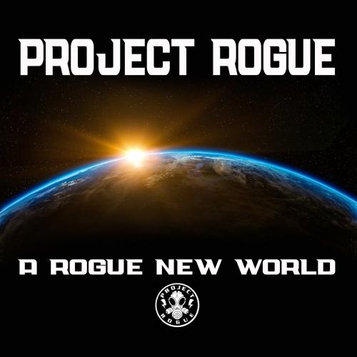 Project Rogue - A Rogue New World