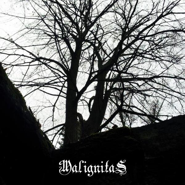 Malignitas - Discography (2018 - 2019)