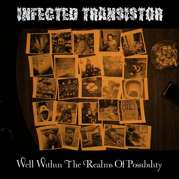 Infected Transistor - Well Within The Realms Of Possibility