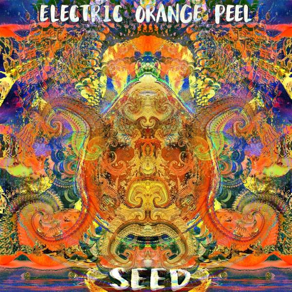 Electric Orange Peel - Discography (2016 - 2017)