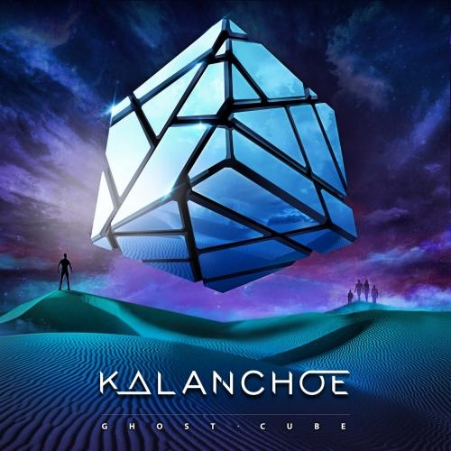 Kalanchoe - Ghost Cube