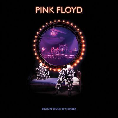 Pink Floyd - Delicate Sound of Thunder (2019 Remix) (Live) (Lossless)