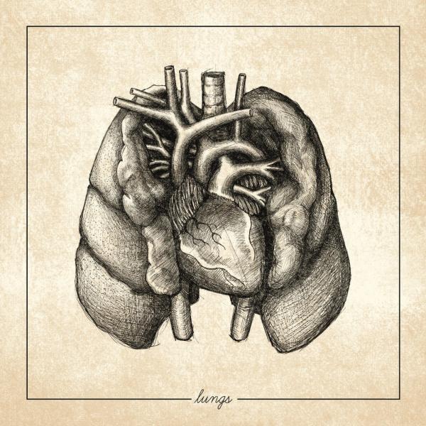 Regrowth - Lungs
