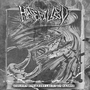 Hatefilled - Violent Disembowelment of Hatred (EP)