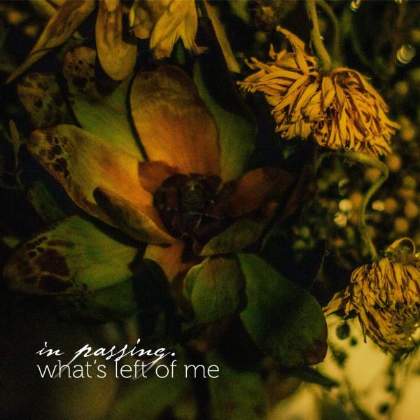 In Passing. - What's Left Of Me (EP)
