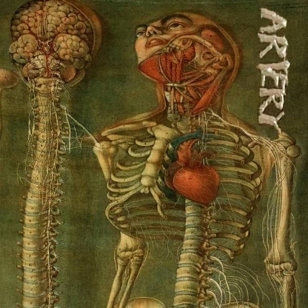 Artery - Discography (1993 - 2006)