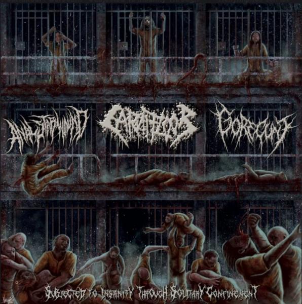 Anal Stabwound / Carnifloor / Gorecunt - Subjected to Insanity Through Solitary Confinement (Split)