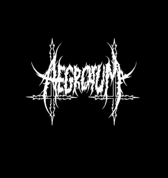 Aegrotum - Discography (2012 - 2014)