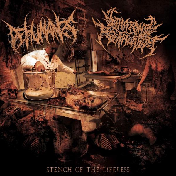 Dehumanize / Catatonic Profanation - Stench Of The Lifeless (Split) (EP)