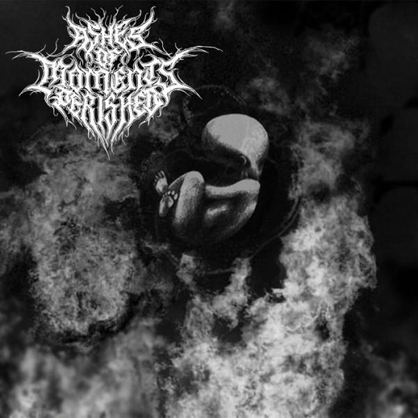 Ashes Of Moments Perished - Womb In Black Flame (EP)