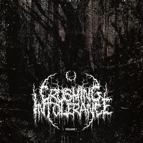 Various Artists - Crushing Intolerance (Compilation) (2014 - 2017) (Upconvert)