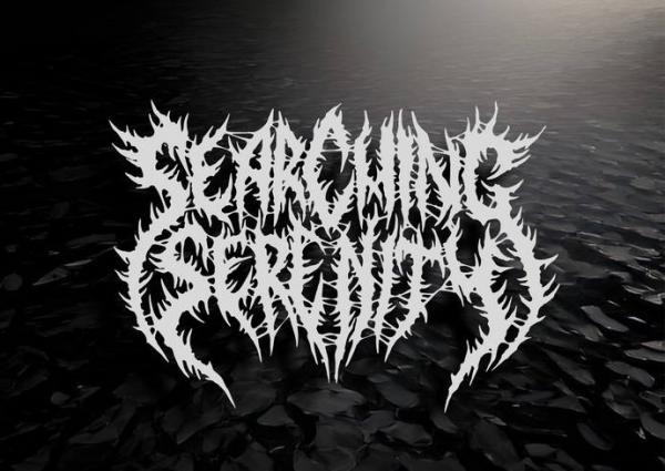 Searching Serenity - Discography (2015 - 2023)