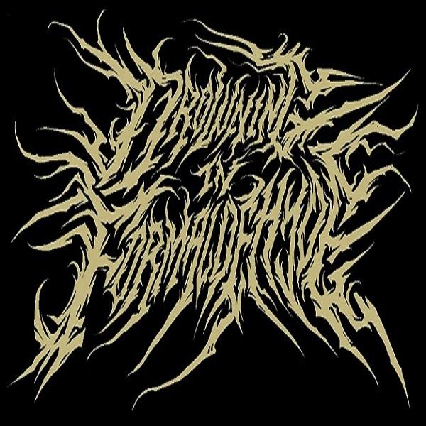 Drowning In Formaldehyde - Discography (2009-2023)