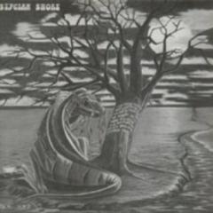 Stygian Shore - Дискография (1984-2007)