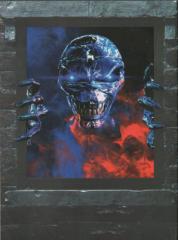 Iron Maiden - Visions Of The Beast (2XDVD9)