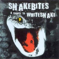 Various Artists - Tribute To Whitesnake (Collection)