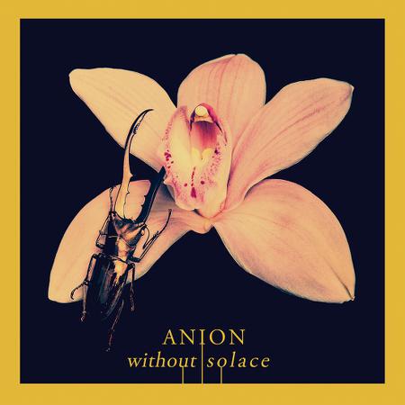 Anion - Without Solace
