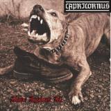 Capricornus - Discography (1995-2004) | Metal Tracker (Download Metal, Rock) 