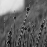 TOBC - Discography (2011 - 2013)