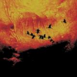 Ea - Discography (2006 - 2014)