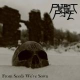 Plight Of The Pyre - From Seeds We've Sown