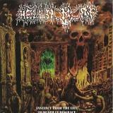 Hellnomorf - Instinct from the Life to Death in Disgrace