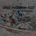 Space Mushroom Fuzz - When Time Trippers Collide