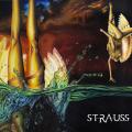 Strauss - Discography