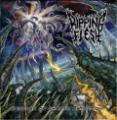 Ripping Flesh - Episodes Of Chaotic Extinction