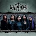 Blackthorn - Discography  (2009-2015) (Lossless)