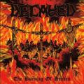 Decayed - The Burning Of Heaven
