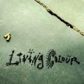Living Colour - Who Shot Ya