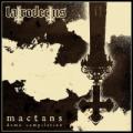 Latrodectus - Mactans