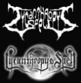 Lycanthropy's Spell - Discography (2003 - 2007)