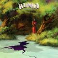 Windhand - Discography (2010 - 2019)