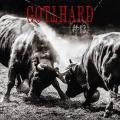 Gotthard - #13 (Limited Edition)