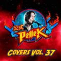 PelleK - Covers, Vol. 37 (Compilation)