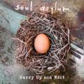 Soul Asylum - Hurry Up and Wait (Lossless)